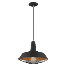 Livex Lighting 41184-04 - 1 Lt Black Mini Pendant