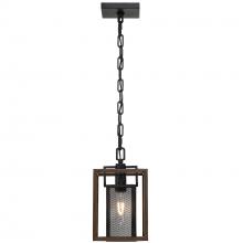 Varaluz 285M01DOBL - Rio Lobo 1-Lt Mini Pendant - Dark Oak/Black