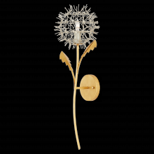 Currey 5000-0250 - Dandelion Wall Sconce